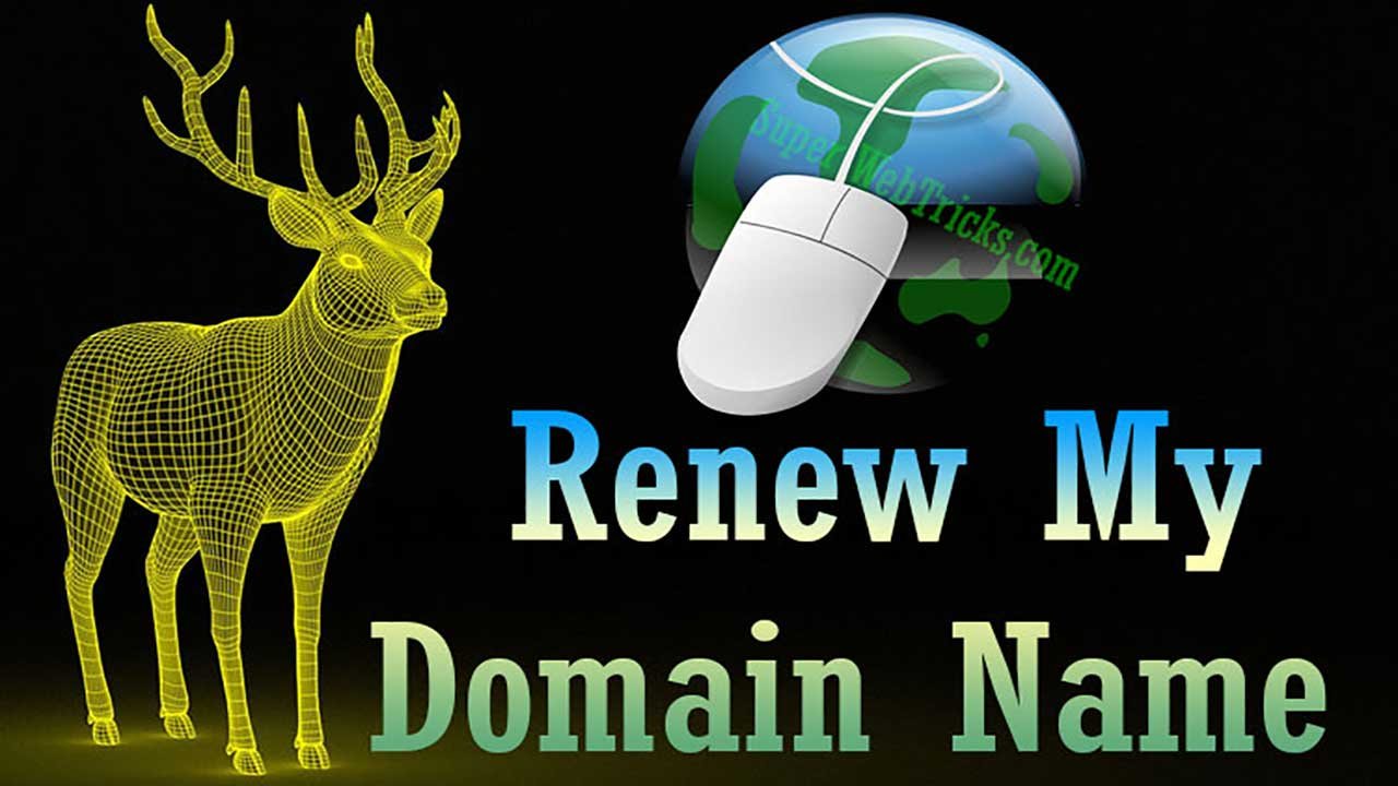 Renew Domain Name